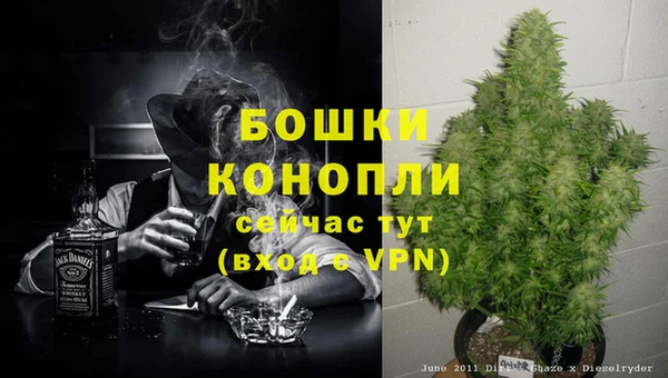 эйфоретик Карпинск