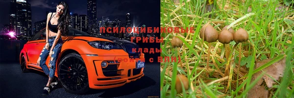 прущая мука Касимов