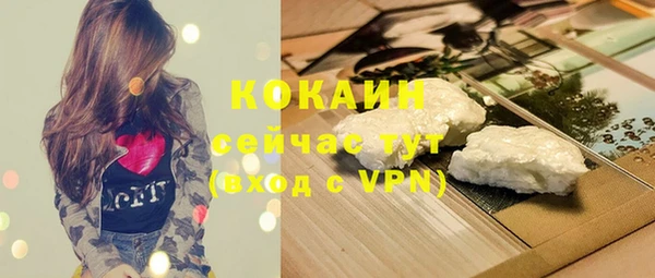эйфоретик Карпинск